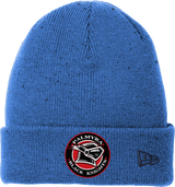 Palmyra Black Knights New Era Speckled Beanie