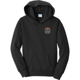 Danville Iron Youth Fan Favorite Fleece Pullover Hooded Sweatshirt