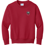Scary Badgers Youth Core Fleece Crewneck Sweatshirt